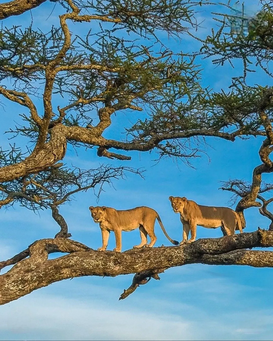 Best itinerary for March